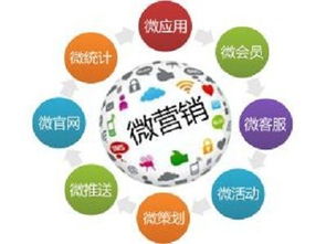 南京小程序与软件开发公司选择指南 如何找到可靠的服务商